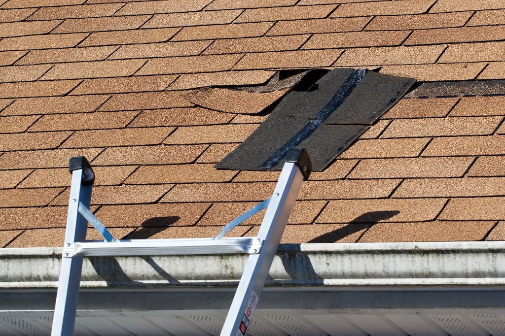 Inspect your roof